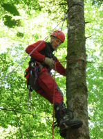 DSCF6694.jpg